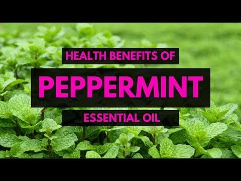 Top 10 Uses of Peppermint Oil – Essential Oils Natural Cures – Peppermint Home Remedies for Health √