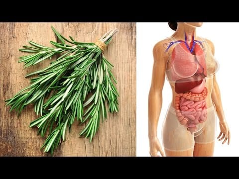 What is Rosemary Good For? Rosemary Health Benefits