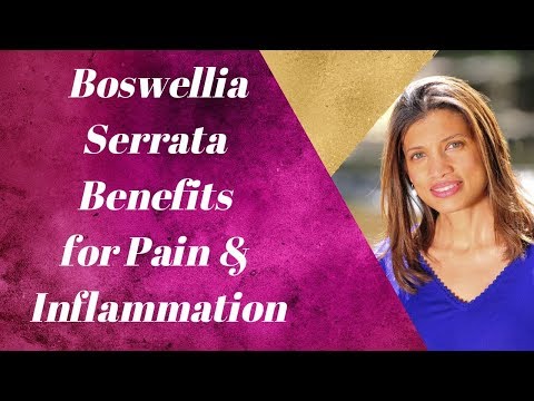 Boswellia Serrata Benefits for Pain and Inflammation