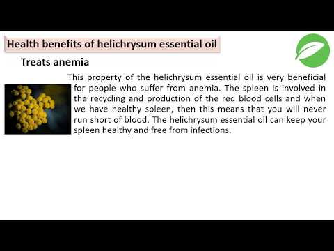 health benefits of helichrysum essential oil – 10 health benefits of helichrysum essential oil