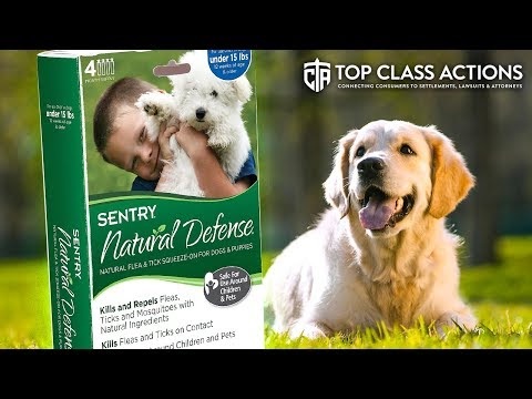 Sentry Flea Repellant Is Toxic To Pets, New Lawsuit Claims