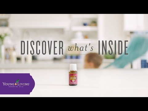 Discover What’s Inside: Purification Essential Oil Blend
