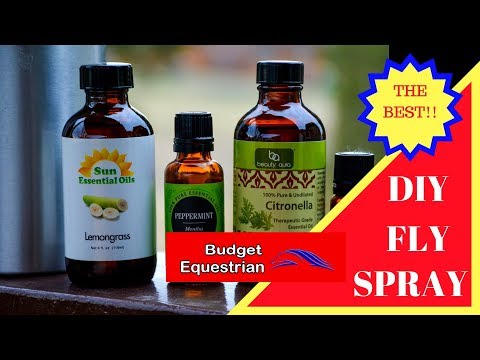 DIY Fly Spray For Your Horse – Best Recipe!