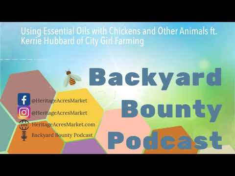 Using Essential Oils with Chickens and Other Animals ft. Kerrie Hubbard of City Girl Farming