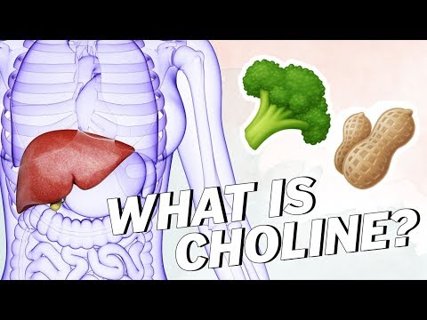 What Is CHOLINE? (And Can You Get it On a Vegan Diet)