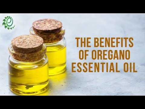12 Amazing Benefits And Uses Of Oregano Essential Oil | Organic Facts