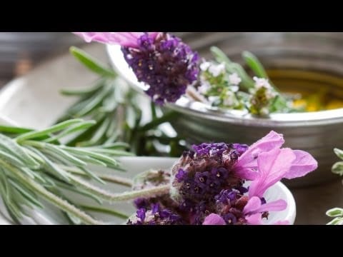 How to Use Rosemary Oil | Skin Care