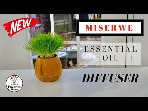 ?   MISERWE  ❤️     Essential Oil Diffuser with a Planter – Review   ✅